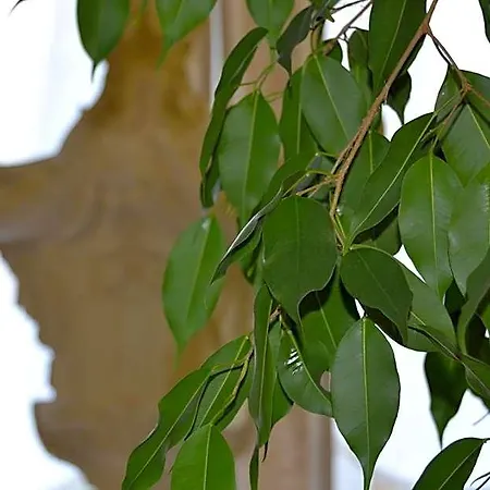 Due Leoni Hotel Sacile