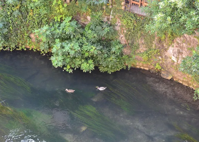 Hotel Due Leoni Sacile